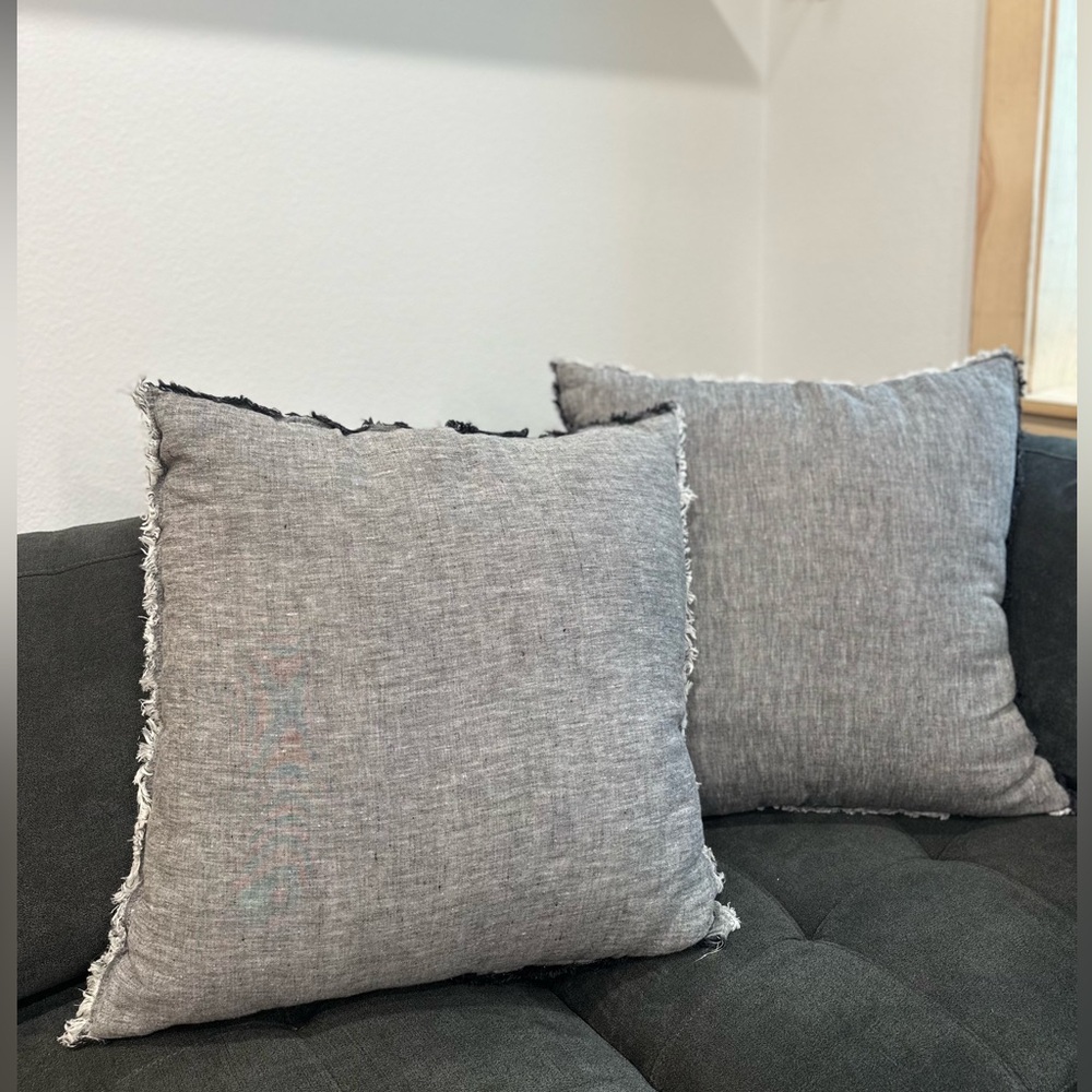 Threshold Throw Pillows x2